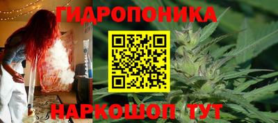 ПСИЛОЦИБИНОВЫЕ ГРИБЫ Аргун
