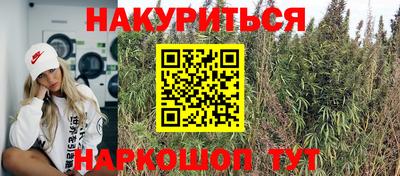 прущие крисы Аргун