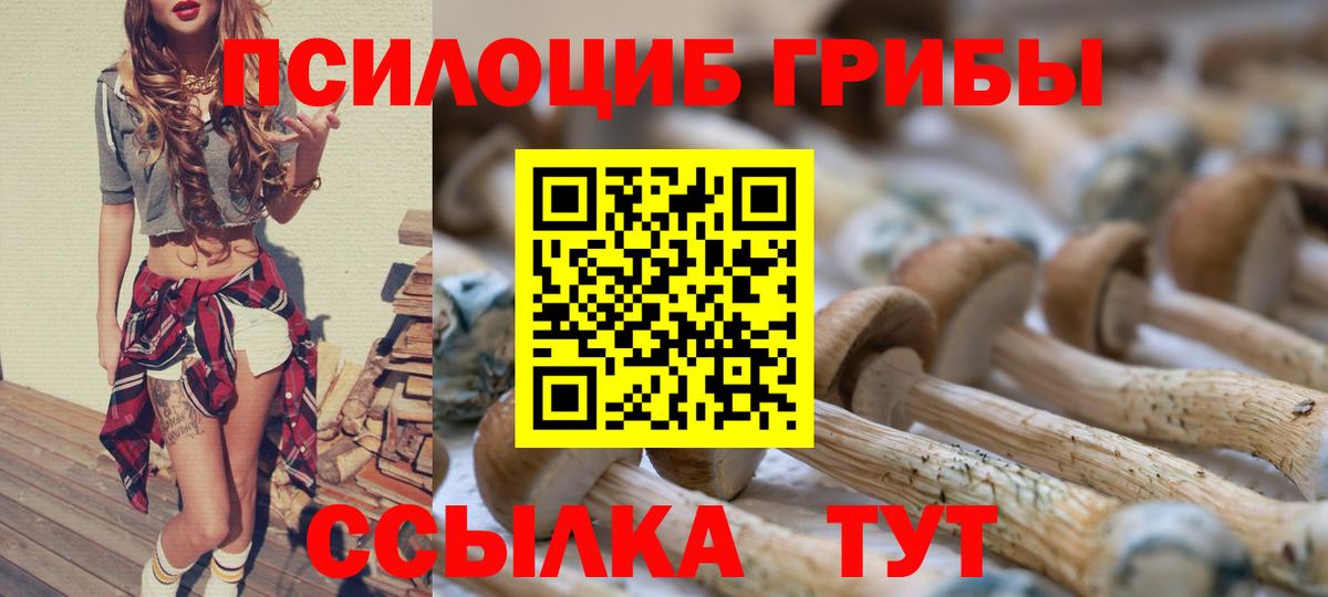 магазин    Вход с VPN  Артёмовский  Галлюциногенные грибы Magic Shrooms 