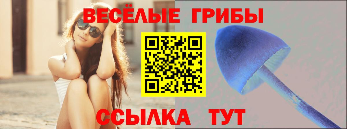 как найти   Артёмовский  Галлюциногенные грибы GOLDEN TEACHER 